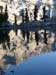 200808_Whitney_101