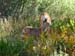 200808_Whitney_103