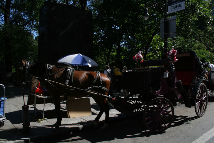 20080908_32
