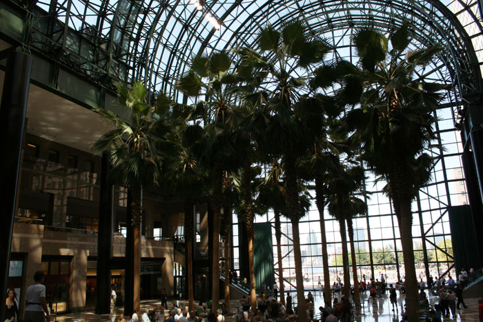 20080908_61