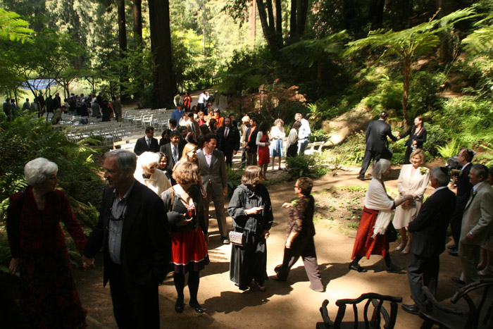 20090426_061