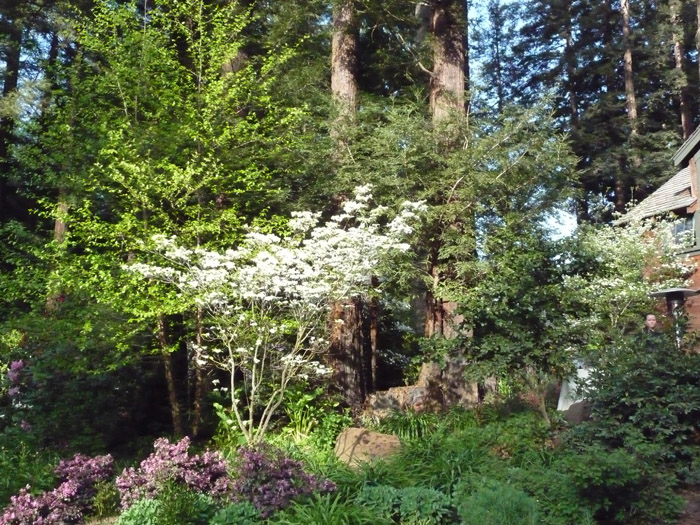 20090426_108