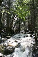 20090519_01