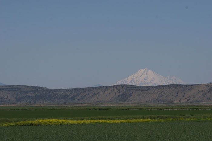 20090629_05