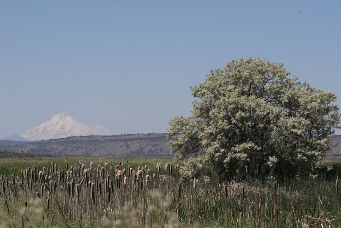 20090629_06