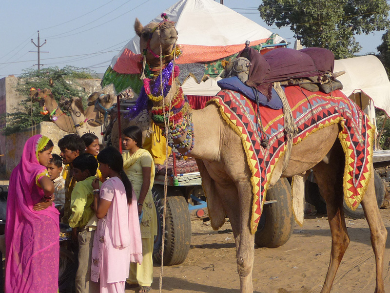 4_India_08