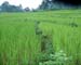 3_Nepal_10