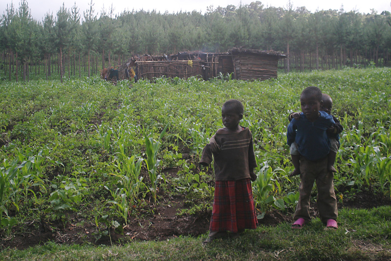 201001_Kilamanjaro_13