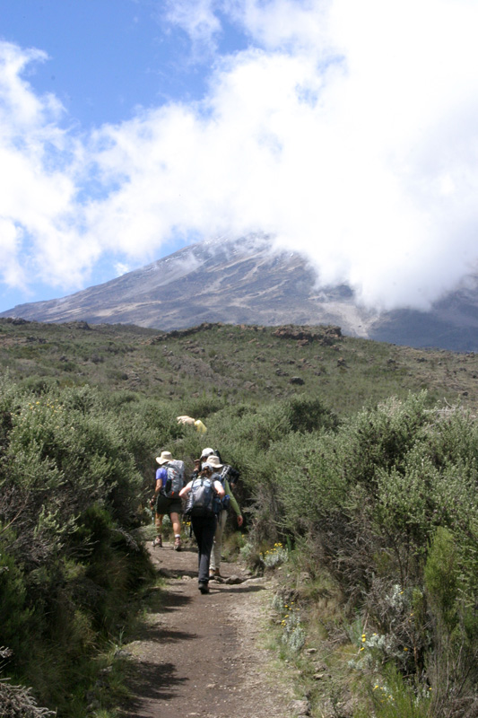 201001_Kilamanjaro_17