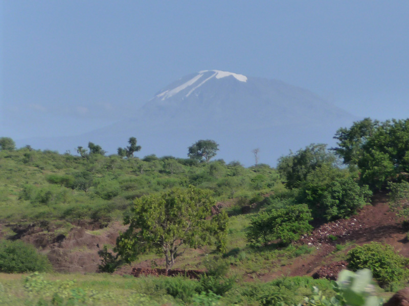 201001_Kilamanjaro_46