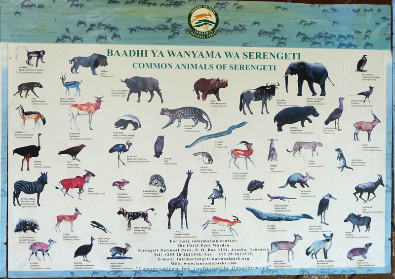 201001_Serengeti_02