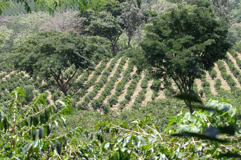 201001_Serengeti_08