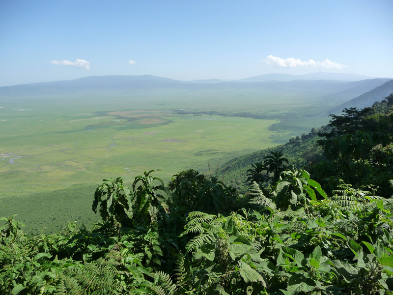 201001_Serengeti_16