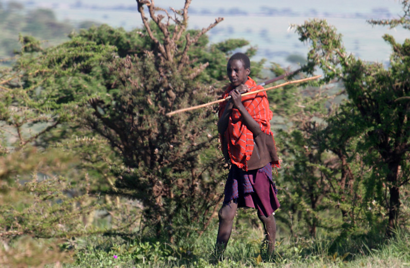 201001_Serengeti_19