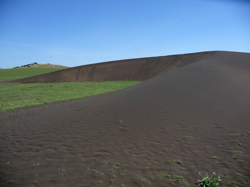 201001_Serengeti_32