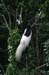 201001_Serengeti_03