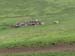 201001_Serengeti_18