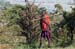 201001_Serengeti_19