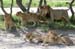 201001_Serengeti_25