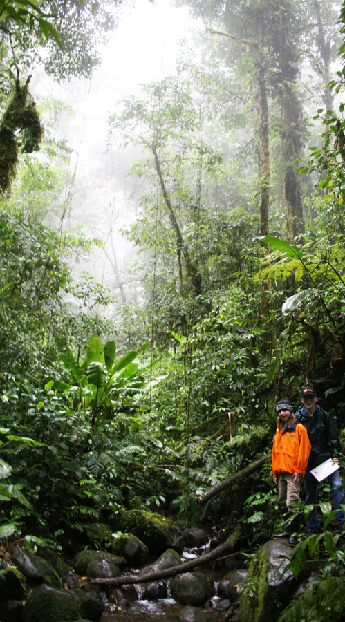 201003_Costa_Rica__04