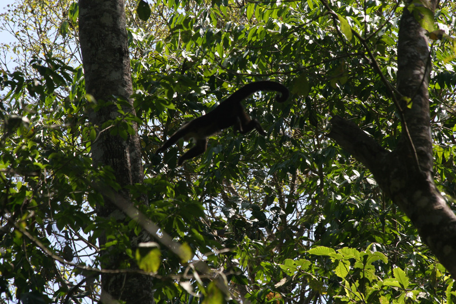 201003_Costa_Rica__31