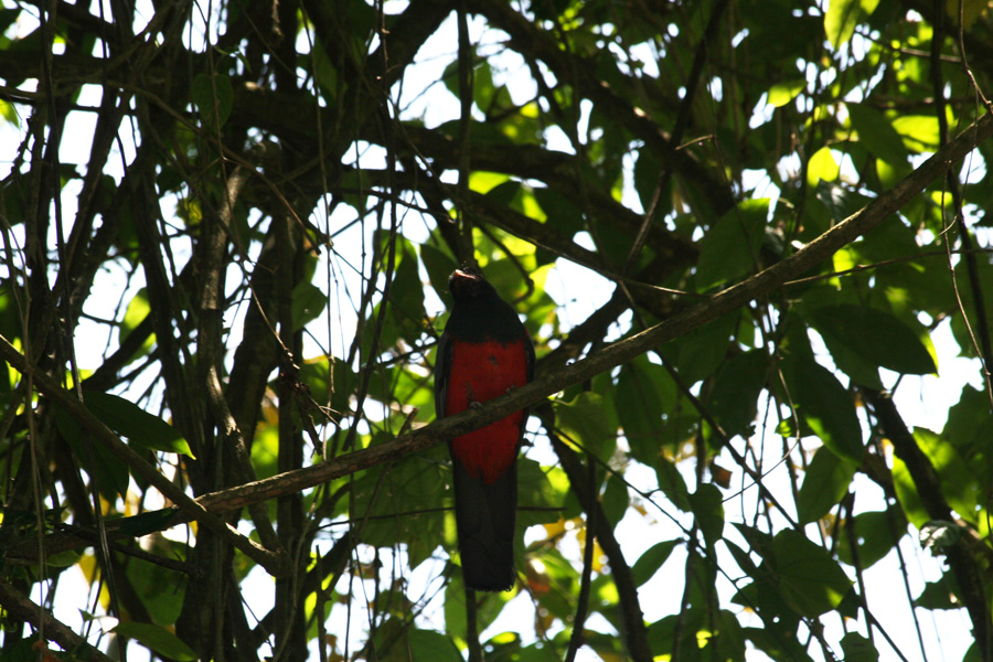 201003_Costa_Rica__34