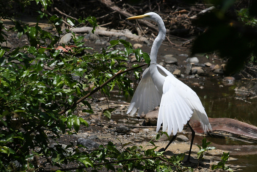 201003_Costa_Rica__37