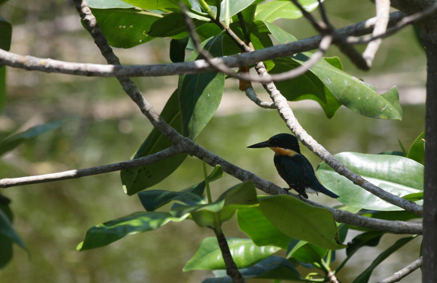 201003_Costa_Rica__38