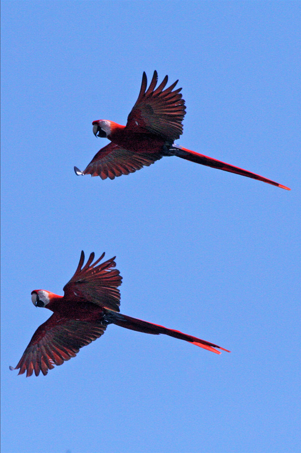 201003_Costa_Rica__48