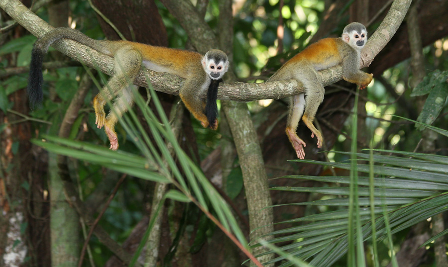 201003_Costa_Rica__53