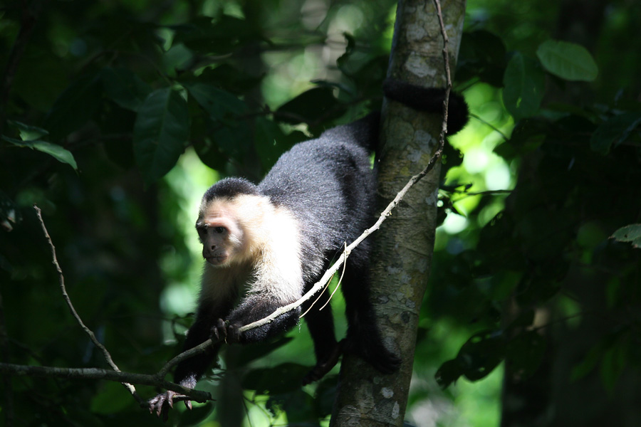 201003_Costa_Rica__58