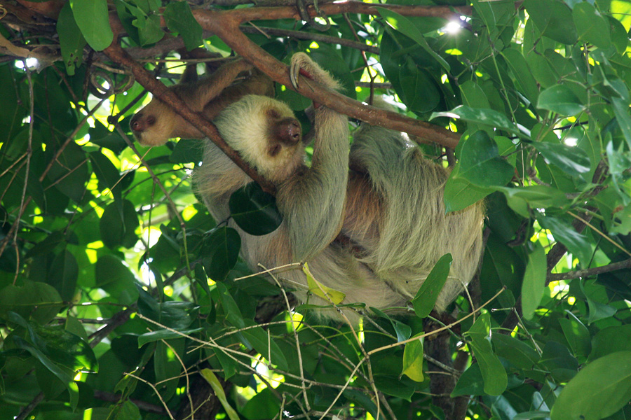 201003_Costa_Rica__66