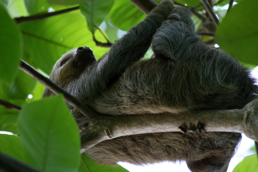 201003_Costa_Rica__77
