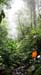 201003_Costa_Rica__04