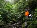 201003_Costa_Rica__05