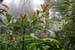 201003_Costa_Rica__07