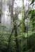 201003_Costa_Rica__09