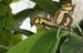 201003_Costa_Rica__11