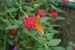 201003_Costa_Rica__16