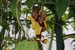 201003_Costa_Rica__17