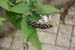201003_Costa_Rica__18