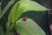 201003_Costa_Rica__20