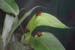 201003_Costa_Rica__21