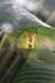 201003_Costa_Rica__22
