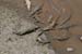 201003_Costa_Rica__25