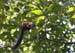 201003_Costa_Rica__27