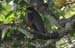 201003_Costa_Rica__28