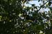 201003_Costa_Rica__30