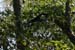 201003_Costa_Rica__31