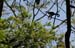 201003_Costa_Rica__32